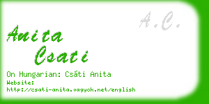 anita csati business card