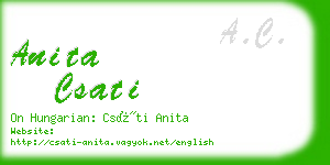 anita csati business card